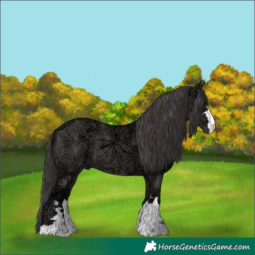 Horse Color:Smoky Grullo Ice 