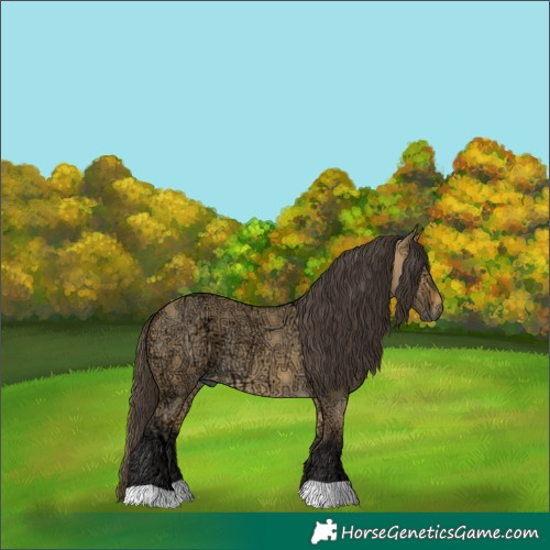 Horse Color:Buckskin Ice Dun 