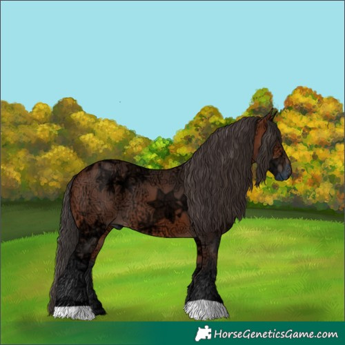 Horse Color:Bay Ice 
