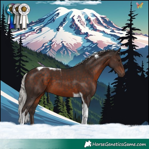 Horse Color:Silver Brown Tobiano 
