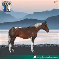 Horse Color:Silver Brown Tobiano 