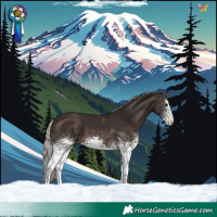 Horse Color:White Spotted Silver Brown 