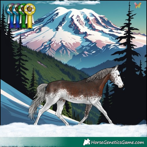 Horse Color:White Spotted Silver Brown 