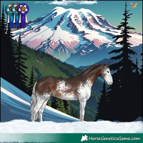 Horse Color:White Spotted Silver Brown