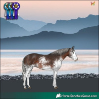 Horse Color:White Spotted Silver Brown 