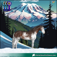 Horse Color:White Spotted Silver Brown