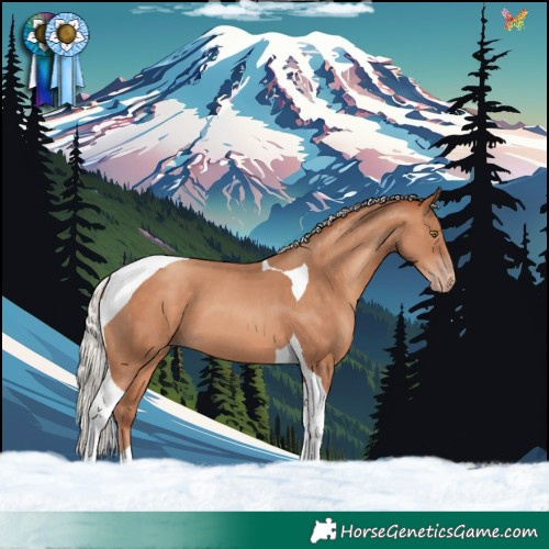 Horse Color:Silver Sable Champagne Tobiano 