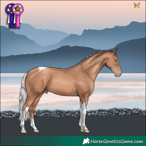 Horse Color:Silver Sable Champagne Tobiano 