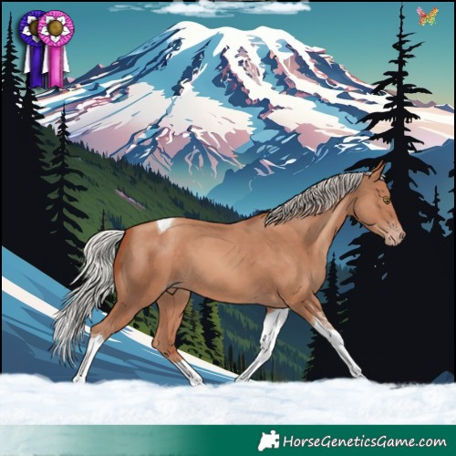 Horse Color:Silver Sable Champagne Tobiano
