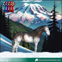 Horse Color:White Spotted Brown