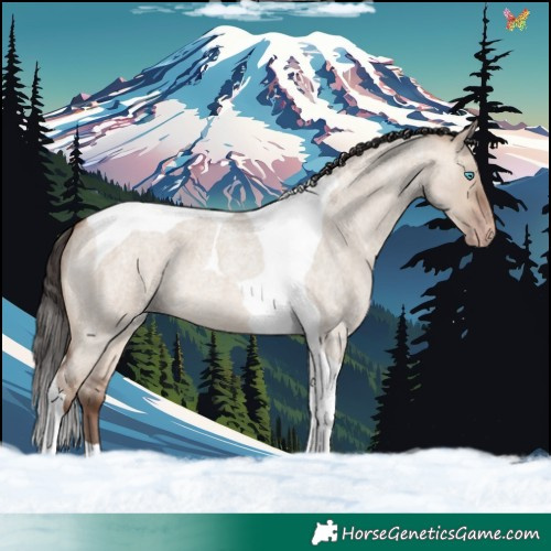 Horse Color:Sable Champagne Roan Dun Tobiano 