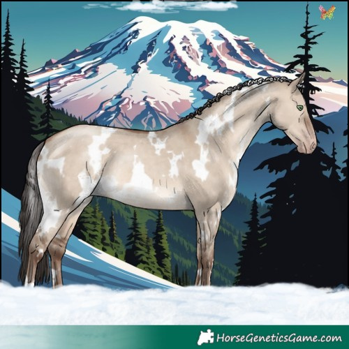Horse Color:White Spotted Sable Champagne Dun