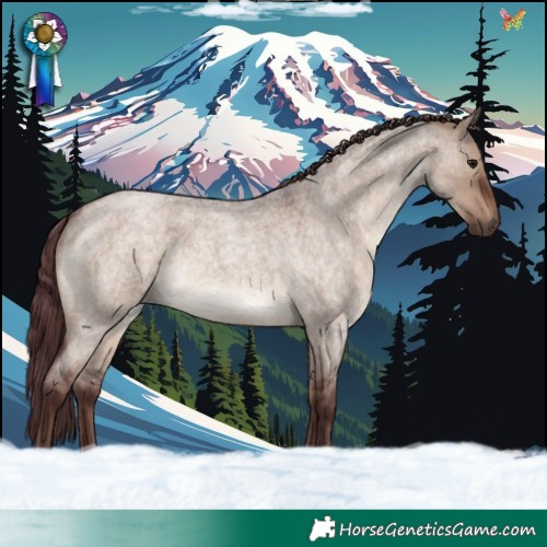 Horse Color:Chocolate Brown Roan Dun 