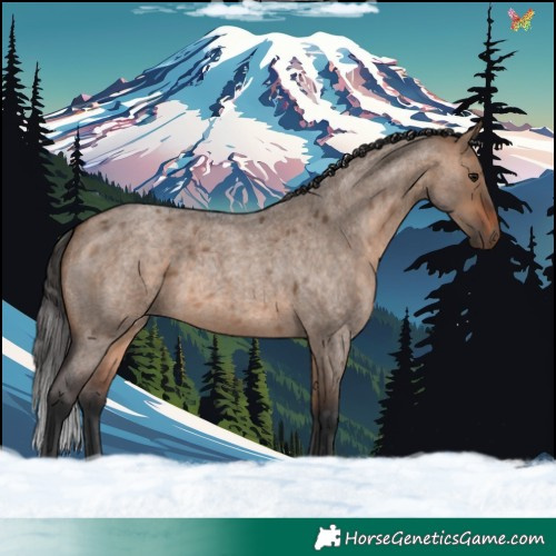 Horse Color:Bay Roan Dun 