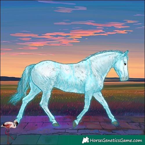 Horse Color:Thunderstruck White Spotted Blue Onyx Sabino Rabicano 