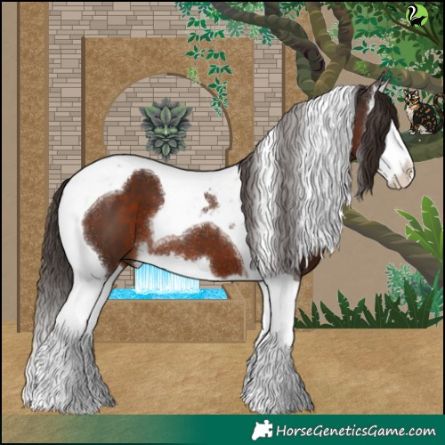 Horse Color:Liver Chestnut Splash Tobiano