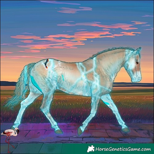 Horse Color:Thunderstruck Bay Pearl Onyx Sabino Tobiano Appaloosa