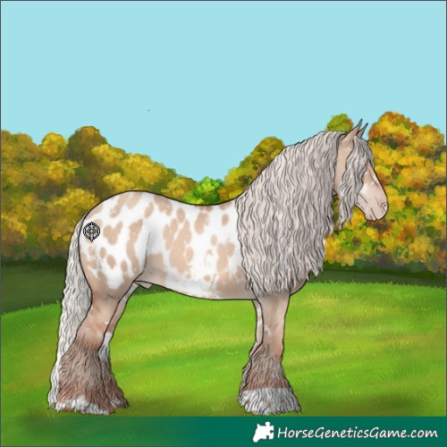 Horse Color:White Spotted Silver Classic Champagne Dun Appaloosa