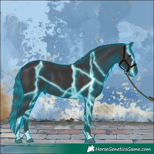 Horse Color:Thunderstruck Smoky Black