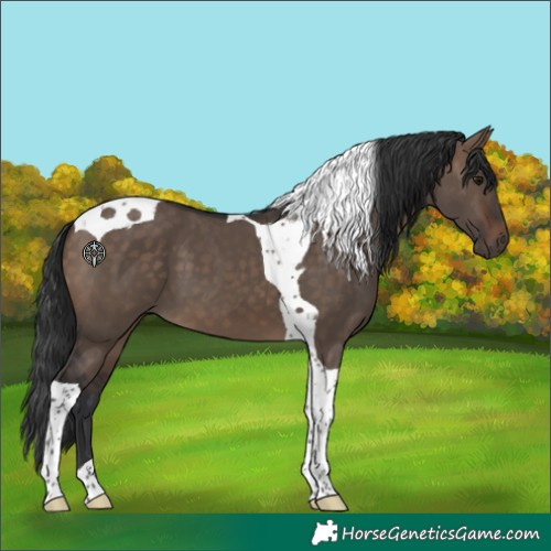 Horse Color:Brown Dun Tobiano 