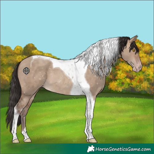 Horse Color:Sable Champagne Dun Tobiano 
