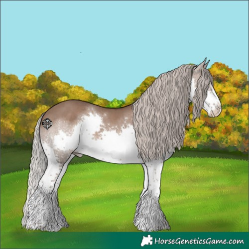 Horse Color:Silver Grullo Sabino Splash