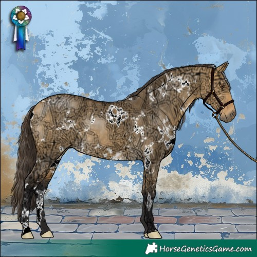 Horse Color:White Spotted Buckskin Ice Dun 