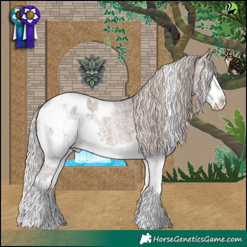 Horse Color:Silver Blue Roan Splash Tobiano Appaloosa