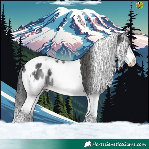 Horse Color:Black Splash Tobiano Appaloosa 