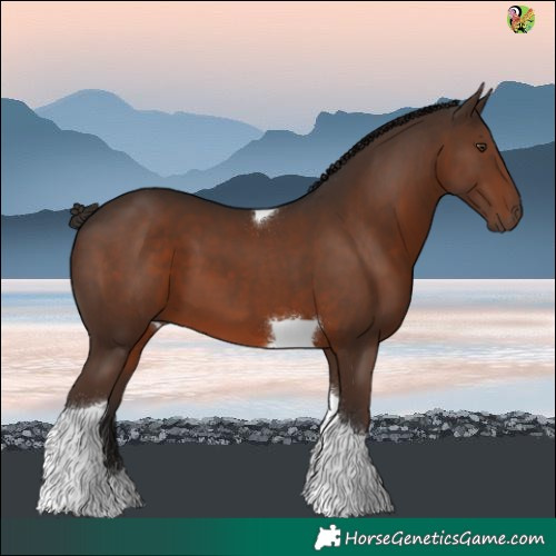 Horse Color:Liver Chestnut Tobiano 