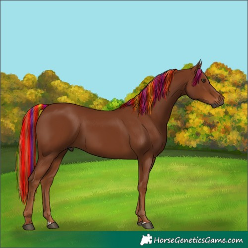 Horse Color:Gray Painted Chestnut