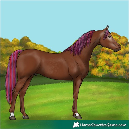 Horse Color:Gray Painted Chestnut