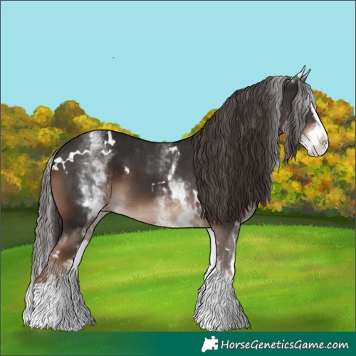 Horse Color:White Spotted Liver Chestnut Splash