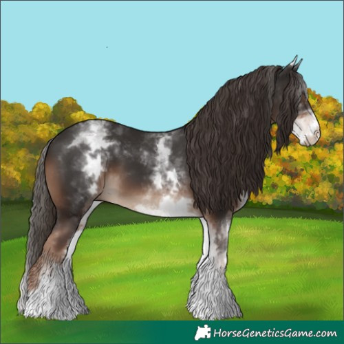 Horse Color:White Spotted Liver Chestnut