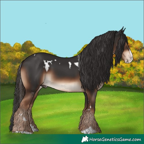 Horse Color:White Spotted Liver Chestnut Splash