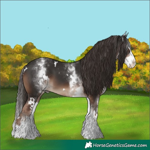 Horse Color:White Spotted Liver Chestnut Splash