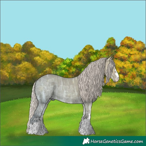 Horse Color:Silver Grullo Ice