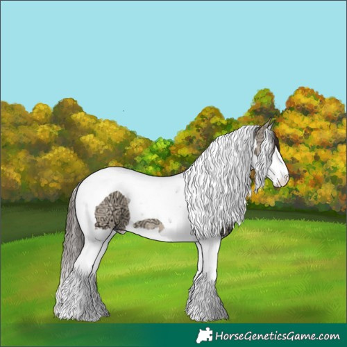 Horse Color:Amber Champagne Ice Dun Splash Tobiano
