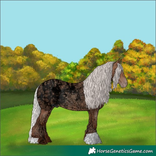 Horse Color:Silver Sable Champagne Ice Rabicano