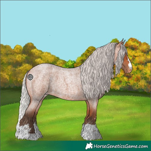 Horse Color:Silver Bay Roan Appaloosa