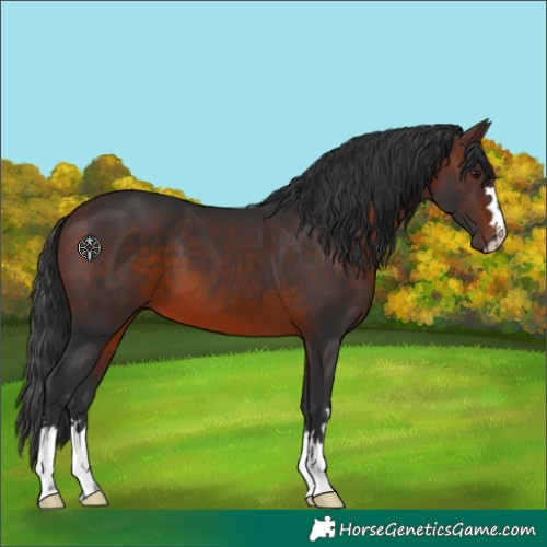 Horse Color:Brown 