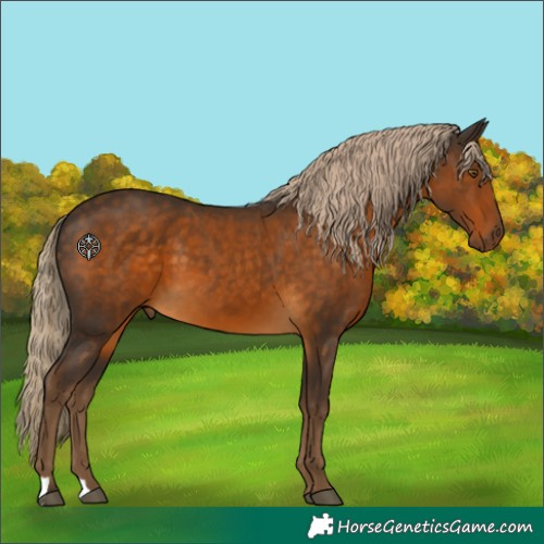 Horse Color:Chocolate Palomino