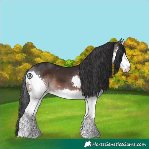 Horse Color:Brown Splash 
