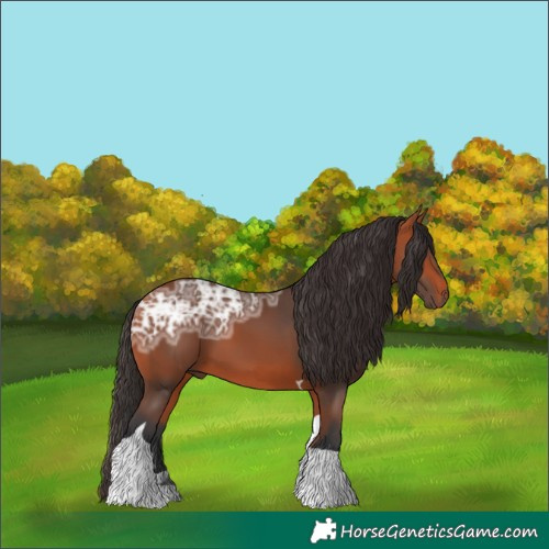 Horse Color:Bay Ice Tobiano 