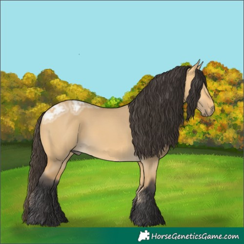 Horse Color:Buckskin Ice Dun Rabicano