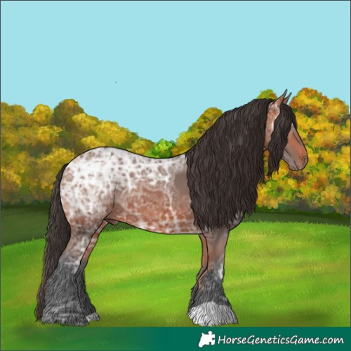 Horse Color:Bay Ice