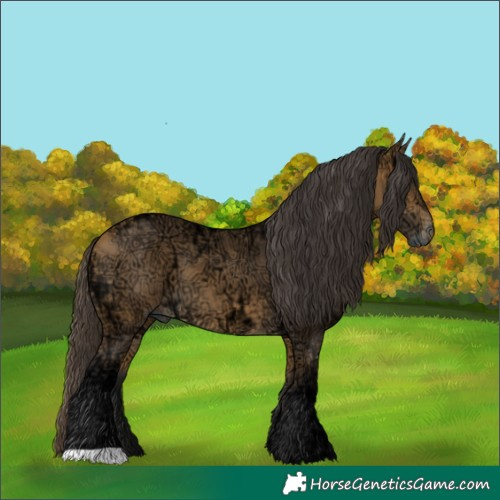 Horse Color:Buckskin Ice 