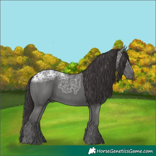 Horse Color:Smoky Black Ice