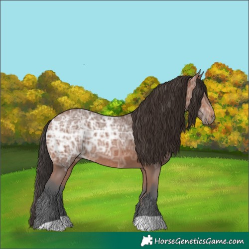 Horse Color:Bay Ice Rabicano