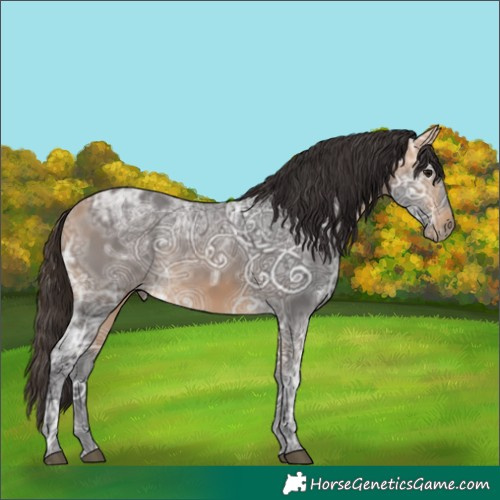 Horse Color:Buckskin Ice 